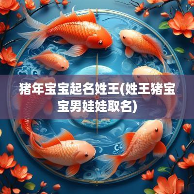 猪年宝宝起名姓王(姓王猪宝宝男娃娃取名)