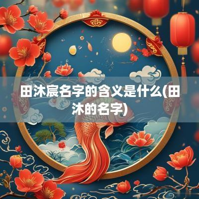 田沐宸名字的含义是什么(田沐的名字)