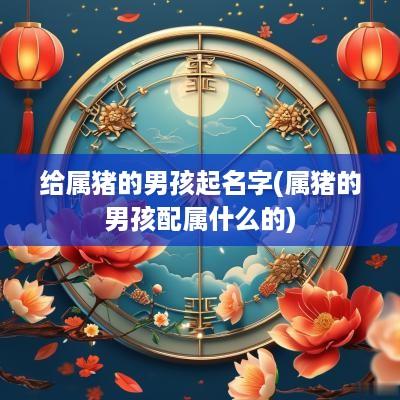 给属猪的男孩起名字(属猪的男孩配属什么的)