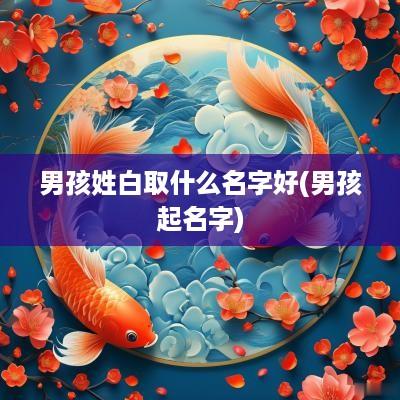 男孩姓白取什么名字好(男孩起名字)