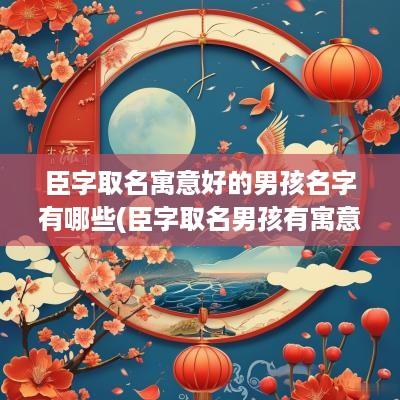 臣字取名寓意好的男孩名字有哪些(臣字取名男孩有寓意)
