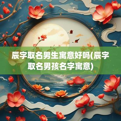 辰字取名男生寓意好吗(辰字取名男孩名字寓意)