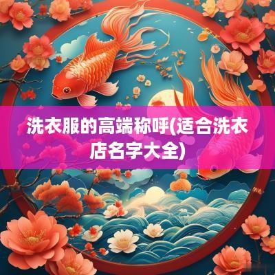 洗衣服的高端称呼(适合洗衣店名字大全)