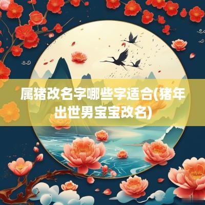 属猪改名字哪些字适合(猪年出世男宝宝改名)