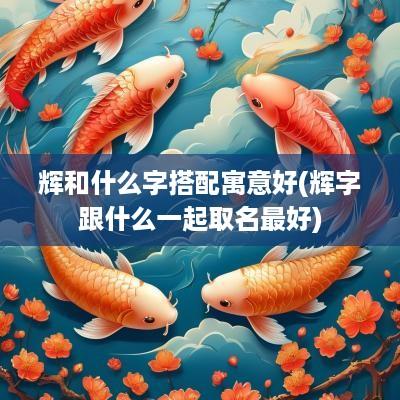 辉和什么字搭配寓意好(辉字跟什么一起取名最好)