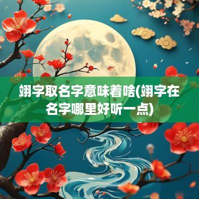翊字取名字意味着啥(翊字在名字哪里好听一点)