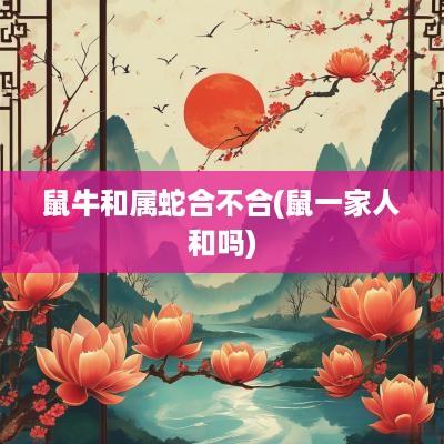 鼠牛和属蛇合不合(鼠一家人和吗)