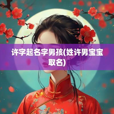 许字起名字男孩(姓许男宝宝取名)