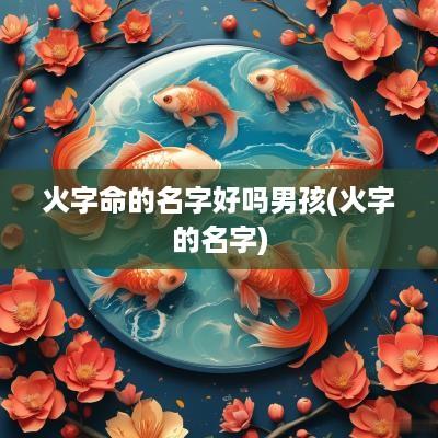 火字命的名字好吗男孩(火字的名字)