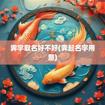 霁字取名好不好(霁起名字用意)