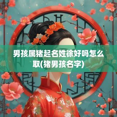 男孩属猪起名姓徐好吗怎么取(猪男孩名字)