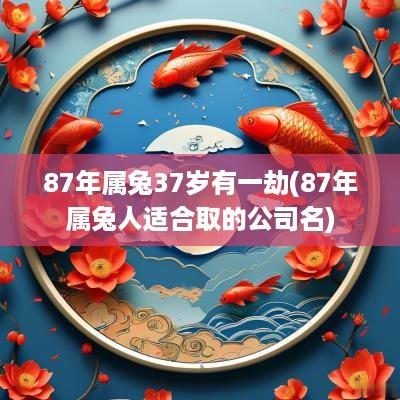 87年属兔37岁有一劫(87年属兔人适合取的公司名)