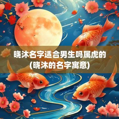 晓沐名字适合男生吗属虎的(晓沐的名字寓意)
