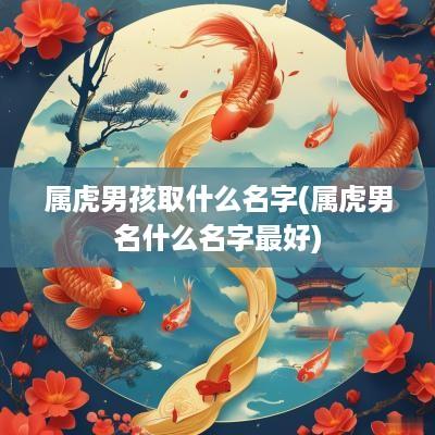 属虎男孩取什么名字(属虎男名什么名字最好)