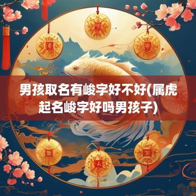 男孩取名有峻字好不好(属虎起名峻字好吗男孩子)