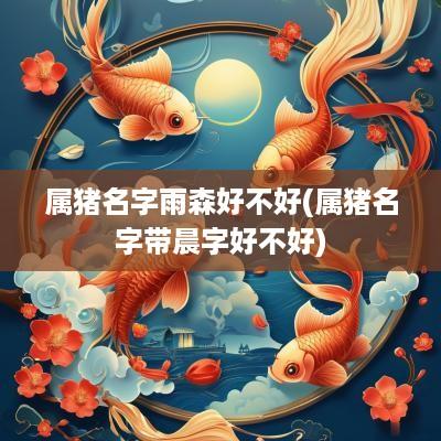属猪名字雨森好不好(属猪名字带晨字好不好)