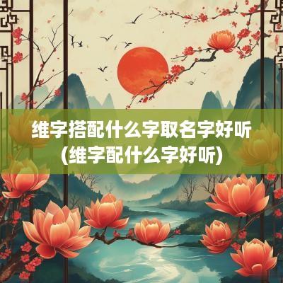 维字搭配什么字取名字好听(维字配什么字好听)