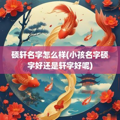 硕轩名字怎么样(小孩名字硕字好还是轩字好呢)