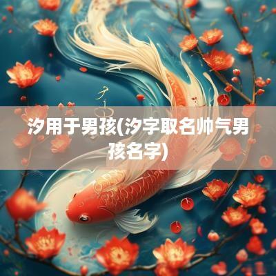 汐用于男孩(汐字取名帅气男孩名字)