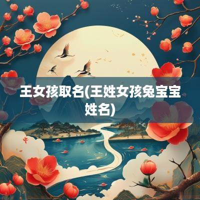 王女孩取名(王姓女孩兔宝宝姓名)