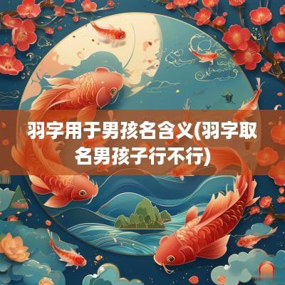 羽字用于男孩名含义(羽字取名男孩子行不行)