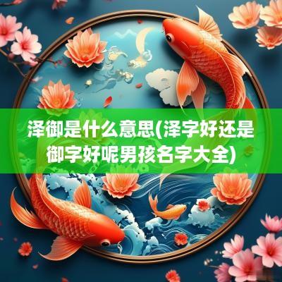 泽御是什么意思(泽字好还是御字好呢男孩名字大全)