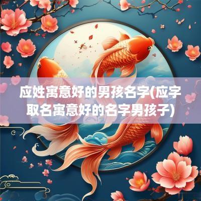 应姓寓意好的男孩名字(应字取名寓意好的名字男孩子)