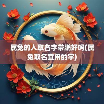 属兔的人取名字带鹏好吗(属兔取名宜用的字)