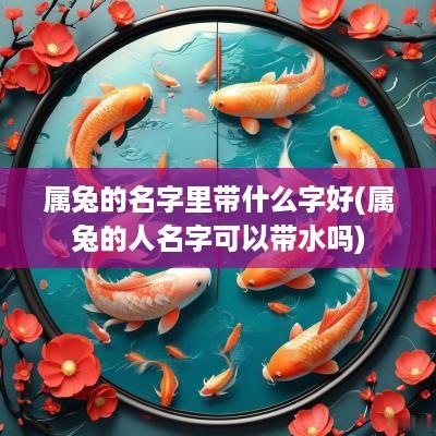 属兔的名字里带什么字好(属兔的人名字可以带水吗)