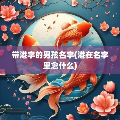 带港字的男孩名字(港在名字里念什么)