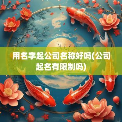 用名字起公司名称好吗(公司起名有限制吗)