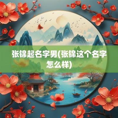 张锦起名字男(张锦这个名字怎么样)