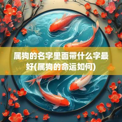 属狗的名字里面带什么字最好(属狗的命运如何)