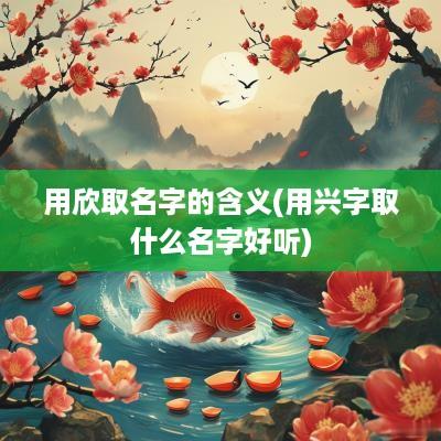 用欣取名字的含义(用兴字取什么名字好听)