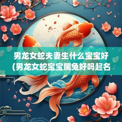 男龙女蛇夫妻生什么宝宝好(男龙女蛇宝宝属兔好吗起名字)