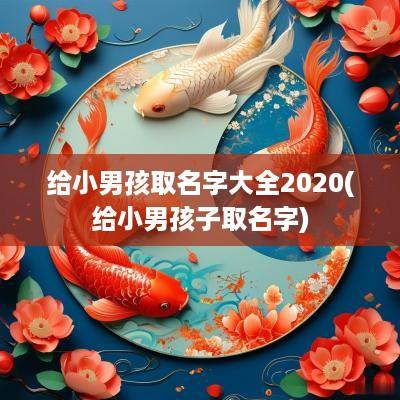给小男孩取名字大全2025(给小男孩子取名字)