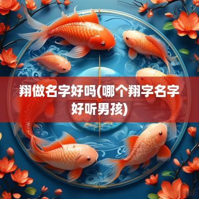 翔做名字好吗(哪个翔字名字好听男孩)
