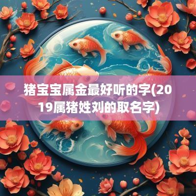 猪宝宝属金最好听的字(2019属猪姓刘的取名字)