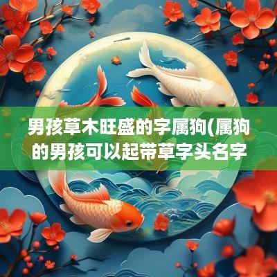 男孩草木旺盛的字属狗(属狗的男孩可以起带草字头名字吗)
