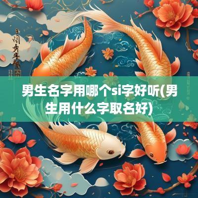 男生名字用哪个si字好听(男生用什么字取名好)