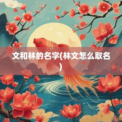 文和林的名字(林文怎么取名)