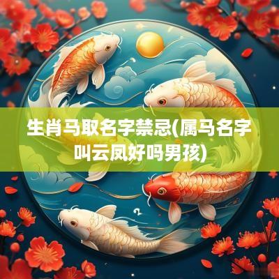 生肖马取名字禁忌(属马名字叫云凤好吗男孩)