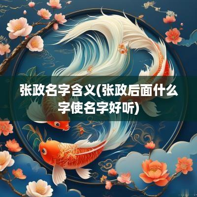 张政名字含义(张政后面什么字使名字好听)