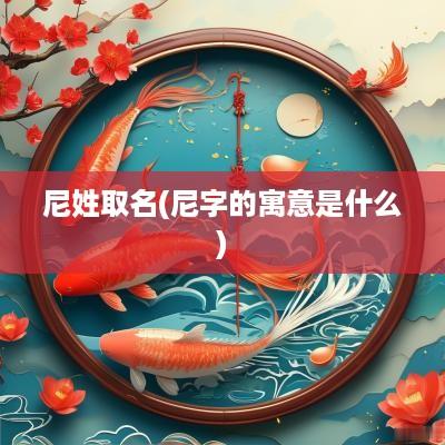 尼姓取名(尼字的寓意是什么)