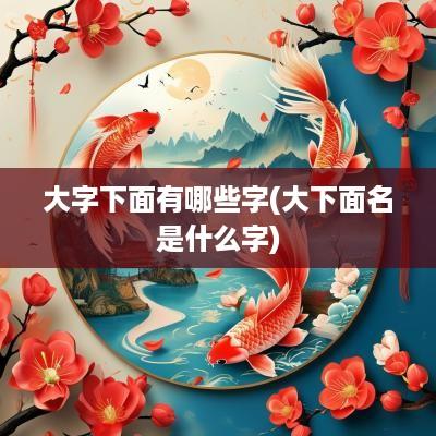 大字下面有哪些字(大下面名是什么字)