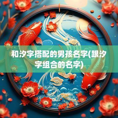 和汐字搭配的男孩名字(跟汐字组合的名字)