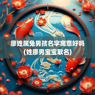 廖姓属兔男孩名字寓意好吗(姓廖男宝宝取名)