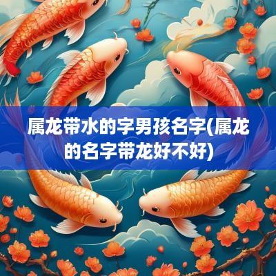 属龙带水的字男孩名字(属龙的名字带龙好不好)