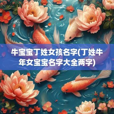 牛宝宝丁姓女孩名字(丁姓蛇年女宝宝名字大全两字)