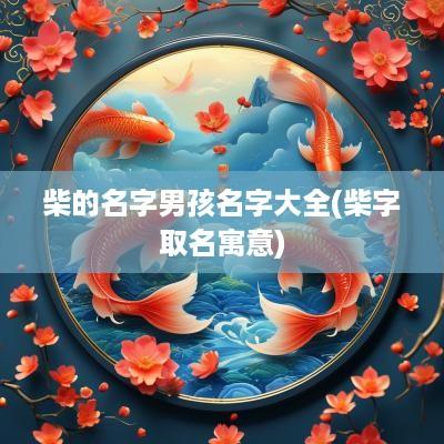 柴的名字男孩名字大全(柴字取名寓意)